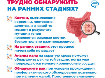 Кишечник6