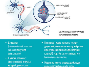 Карточки мозг_Страница_3
